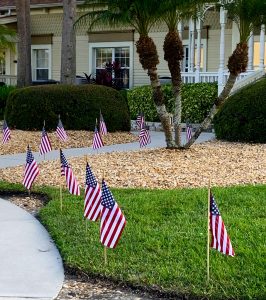 flags