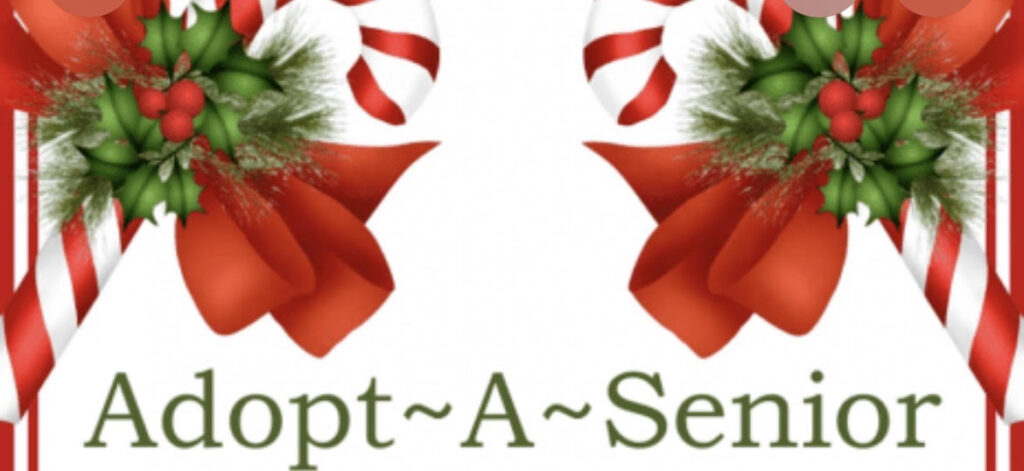logo: Adopt a Senior